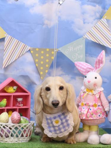 20240316シオンくん